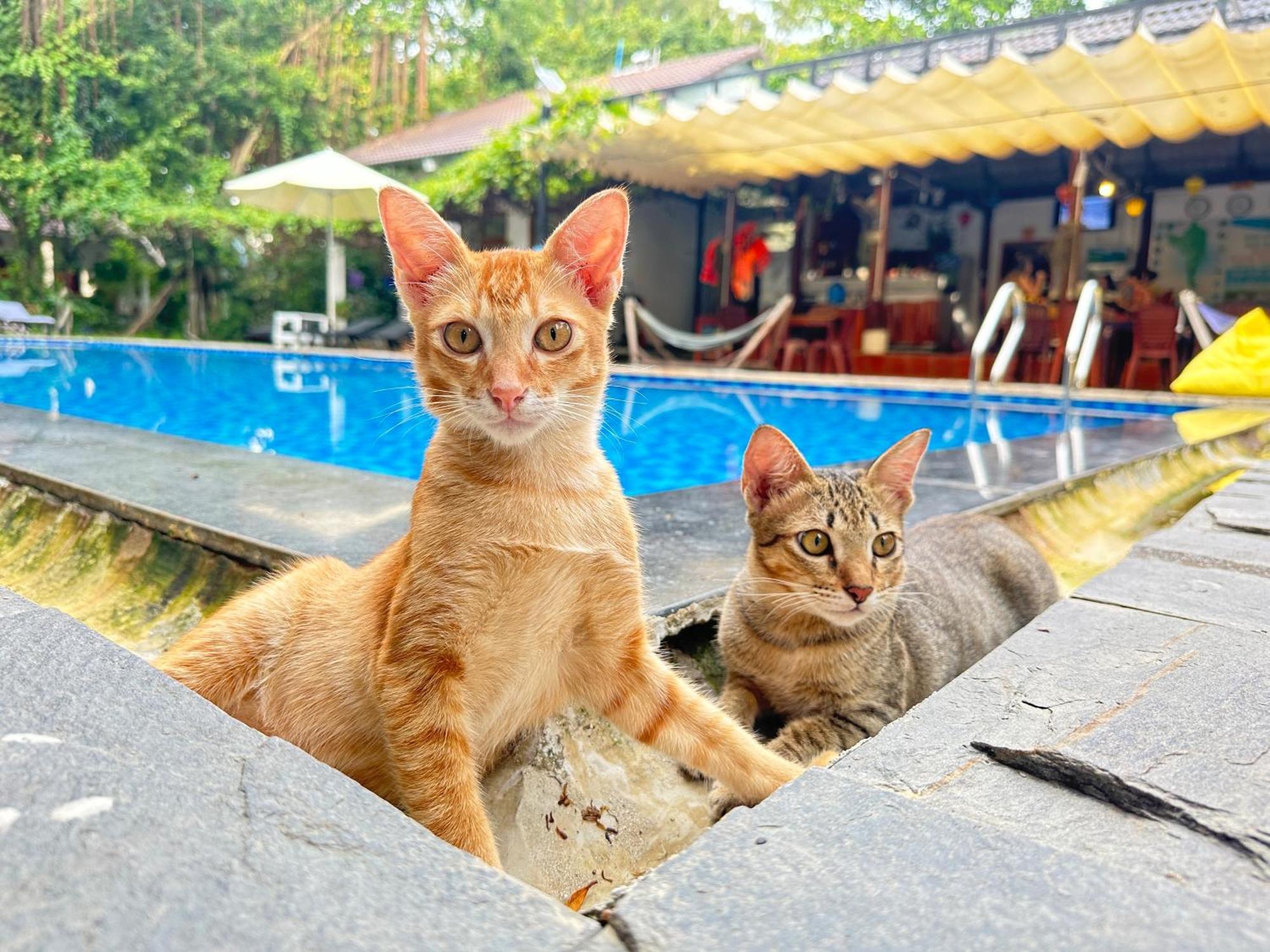 Have Fun Phu Quoc Villa ภายนอก รูปภาพ